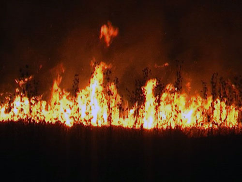 Incendiu Dealul Mesteacanului (c) eMM.ro